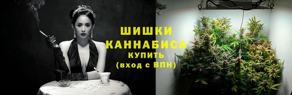 амф Гусь-Хрустальный