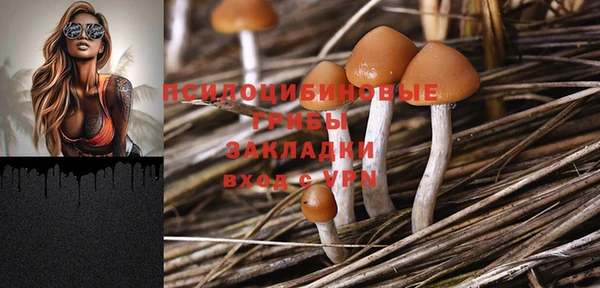 МДМА Гусев