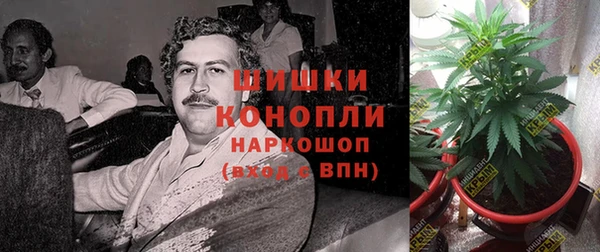 не бодяженный Гусиноозёрск