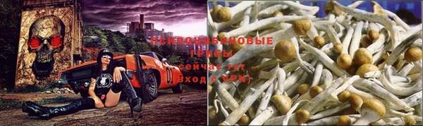 МДМА Гусев