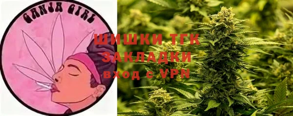 амф Гусь-Хрустальный