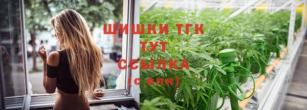 амф Гусь-Хрустальный