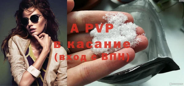 амф Гусь-Хрустальный