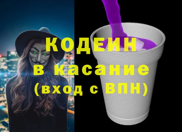 амф Гусь-Хрустальный