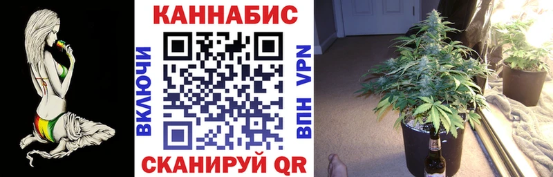 как найти закладки  Новосибирск  Конопля ГИДРОПОН 